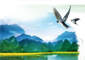 聚焦高考&mdash;&mdash;綠水青山，我們押中了！