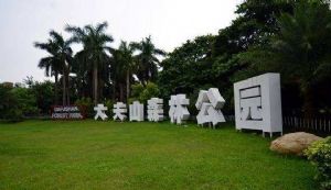 放飛自我 擁抱自然｜我們與大夫山有個美好的邂逅！