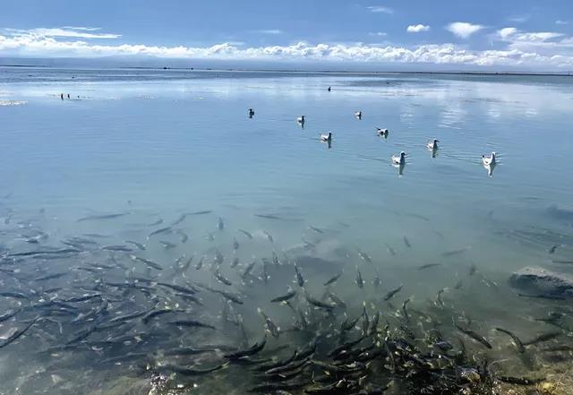 4a3542f723268c3b916b0615cba11187.jpg 002.jpg