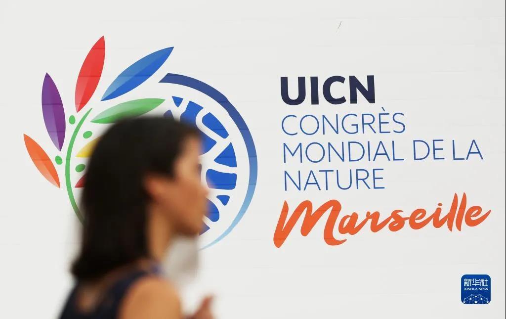 65651ba4498ed01eec6383f646dcaacb.jpg 001.jpg