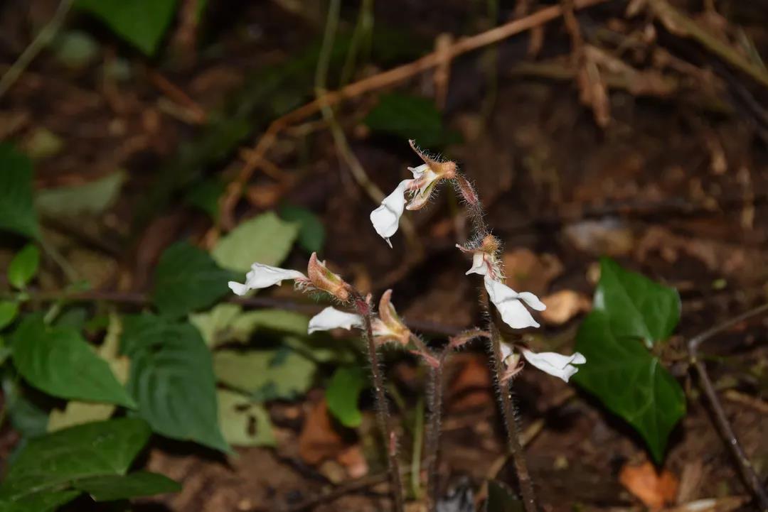 17be3bba65f16789f51da068f5c0eeda.jpg 002.jpg