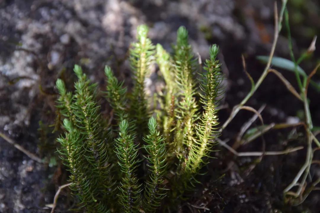 a1265950e4867e637ed373bbfbc442c9.jpg 004.jpg