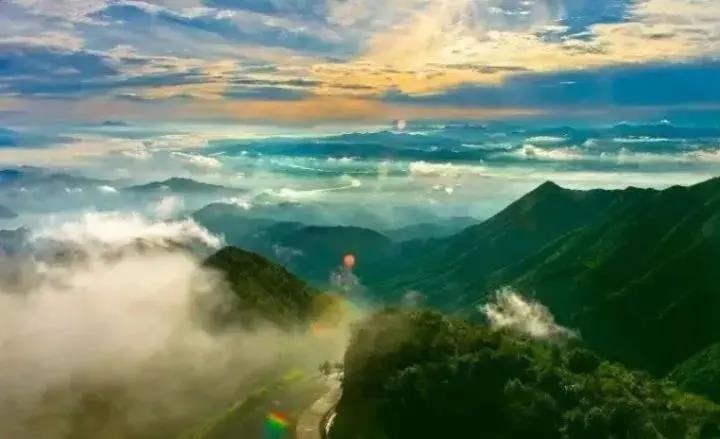 河源全面推行林長制