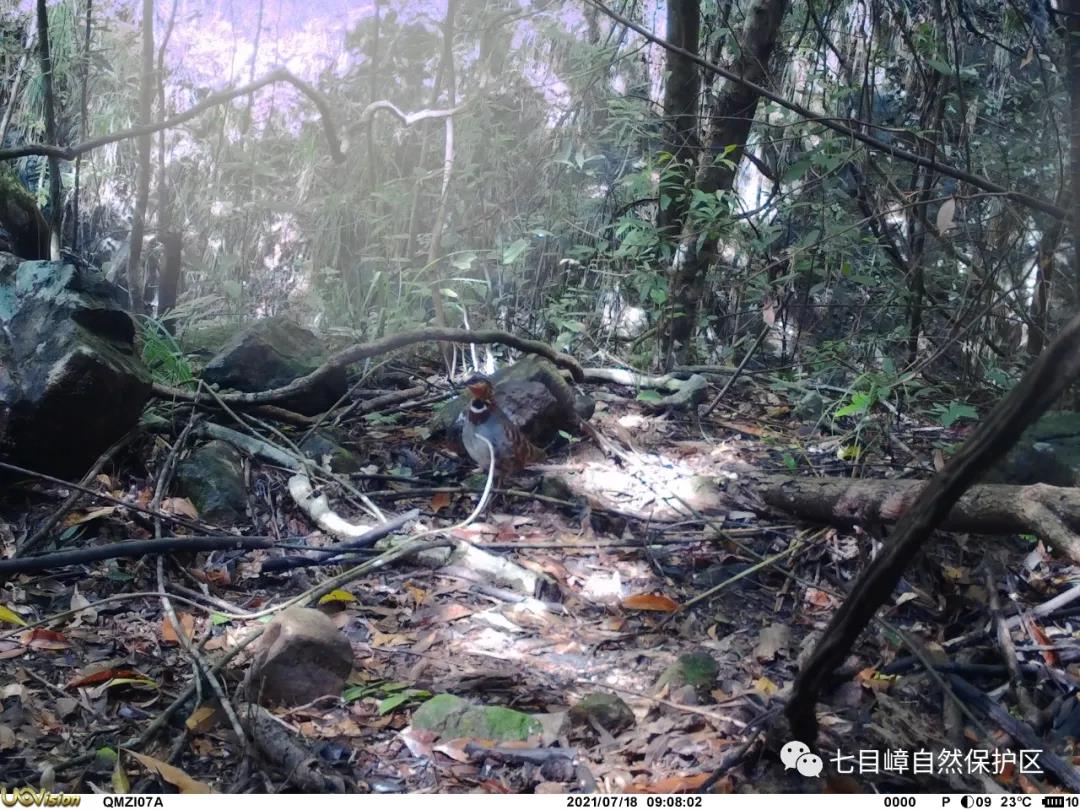 346d4d527072f708d3ee333a1c19a685.jpg 006.jpg