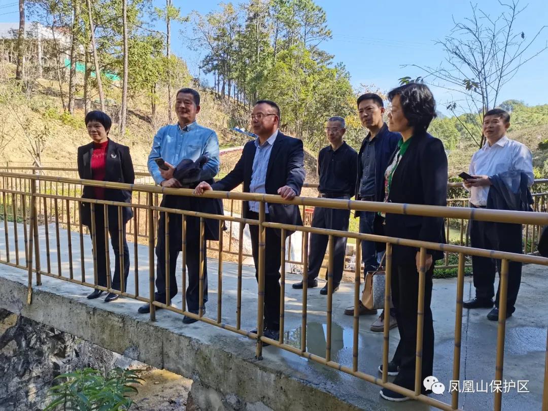 省林業局調研組到鳳凰山保護區調研