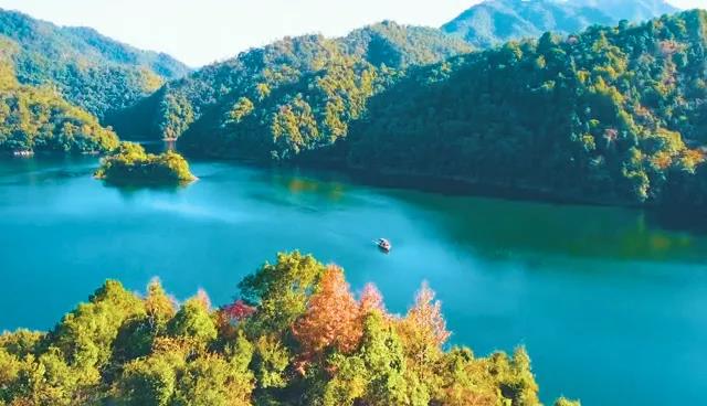 cff5602274cd16a3a081aa9ad1a2479c.jpg 002.jpg