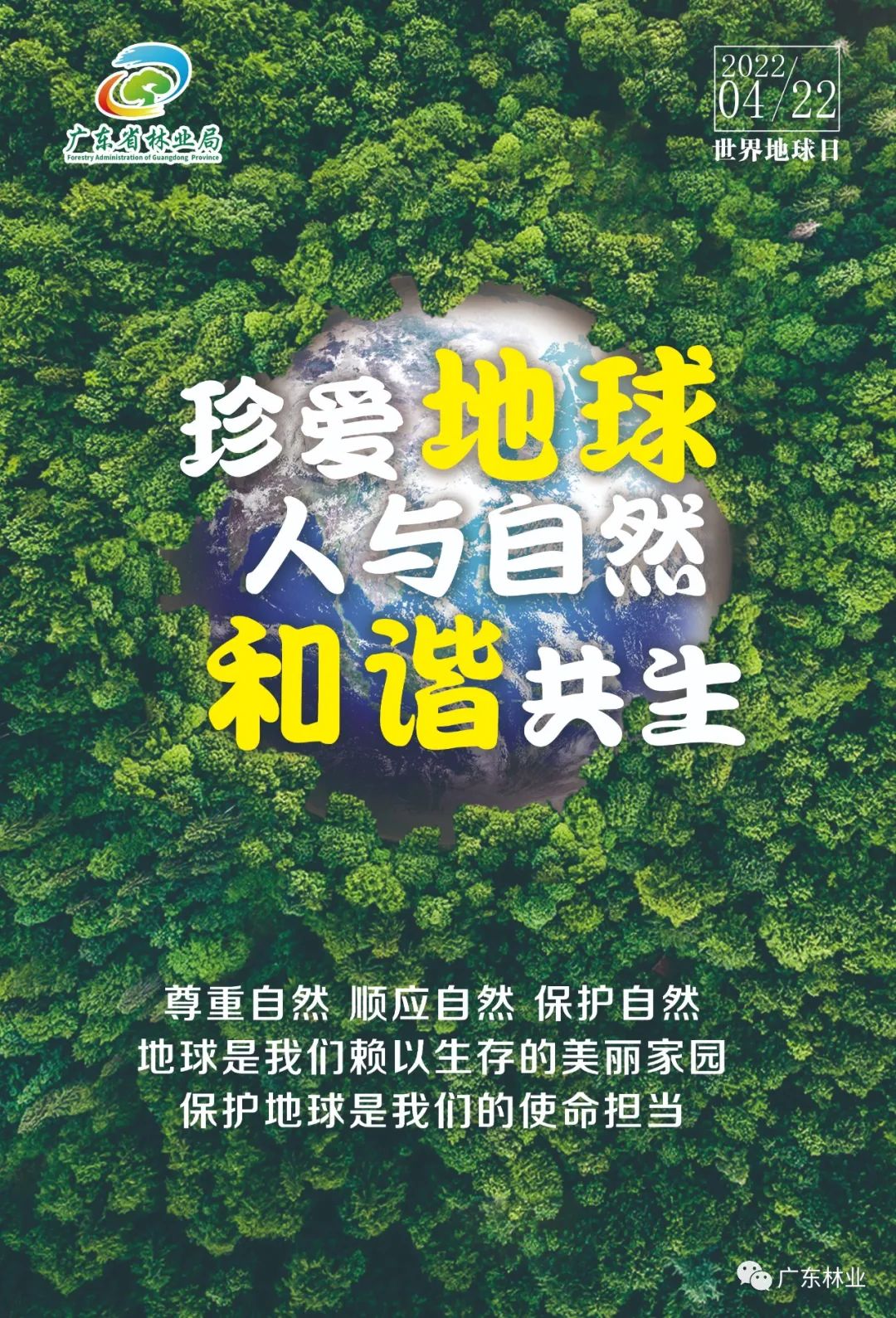 8abfd48ab9d95d1431b5743b53ab229e.jpg 002.jpg